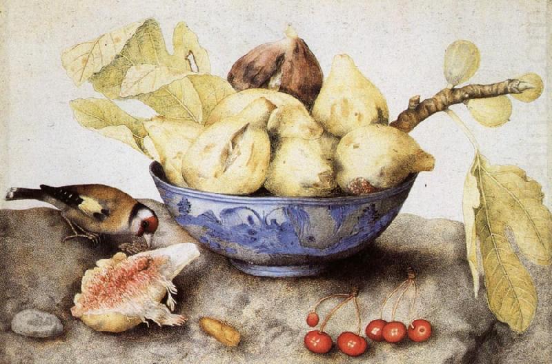 Chinese Cup with Figs,Cherries and Goldfinch, Giovanna Garzoni